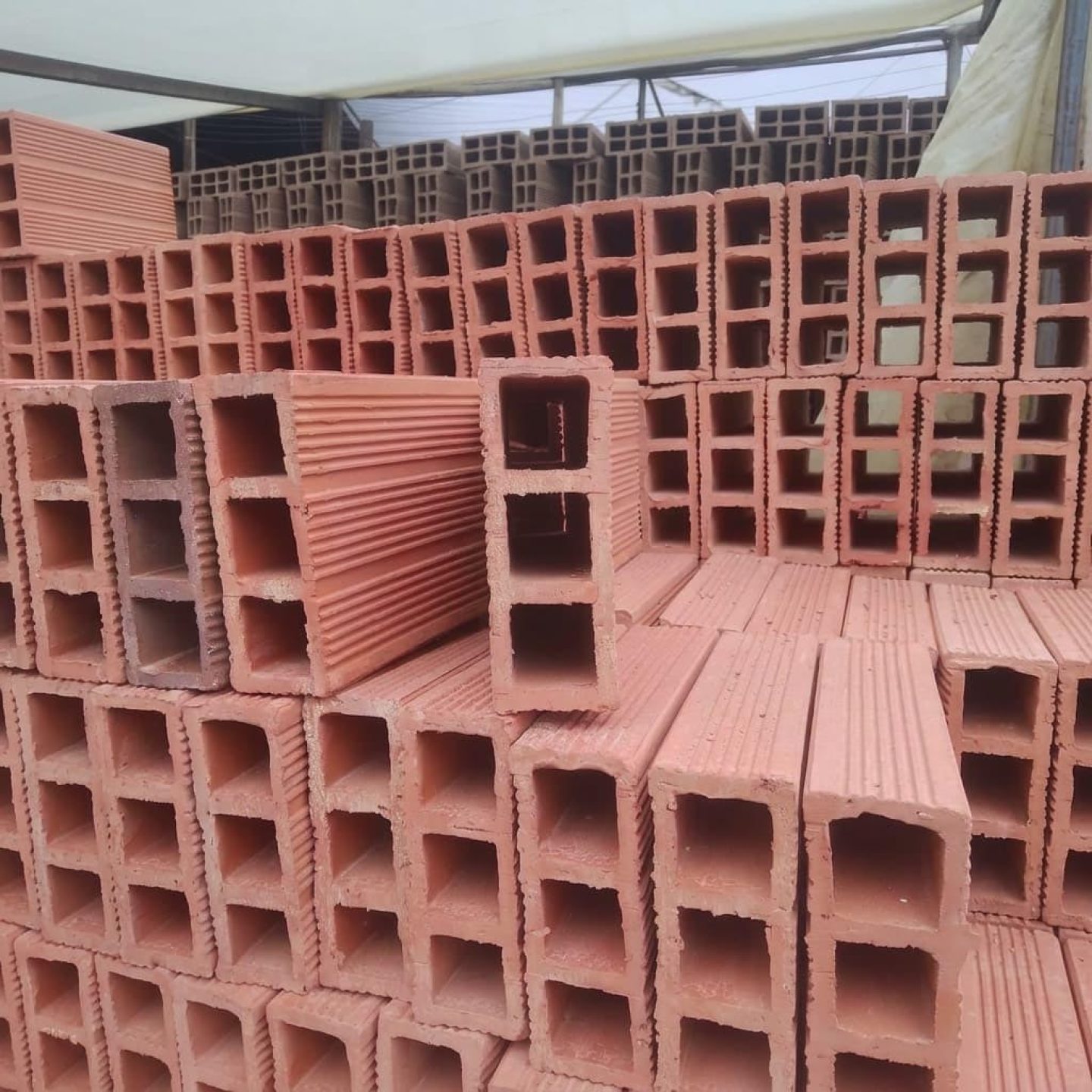 bloque-3-estandar